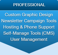 Professional website build Professional website build