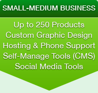 Business website designers