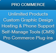 Professional website build
