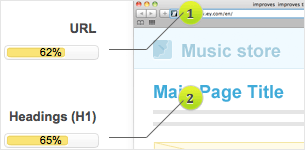 SEO campaign and reports